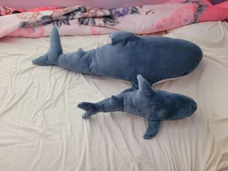 Stuff shark
