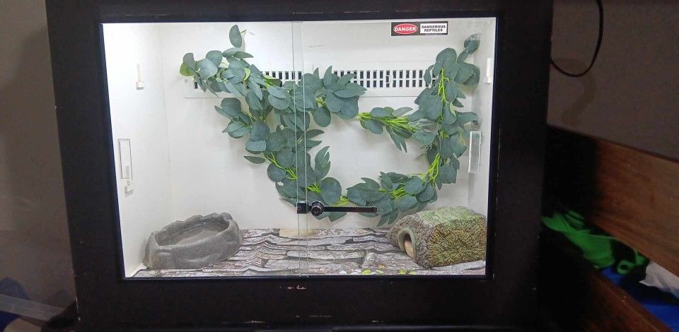 Ornate Nile Monitor Enclosure