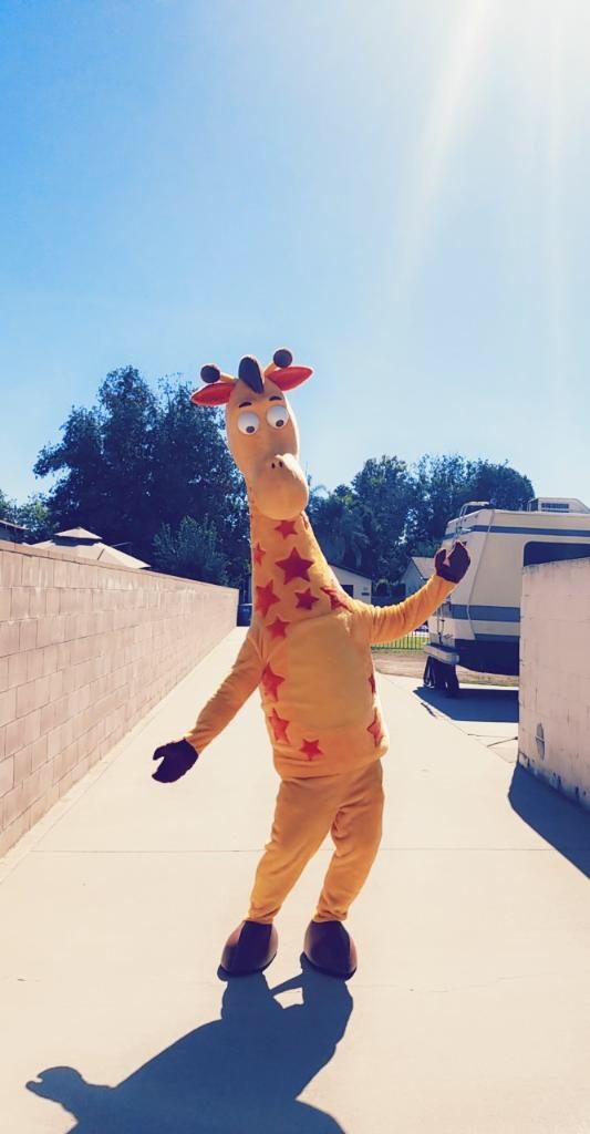 Toys R Us - Geoffrey Costume - NEW