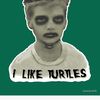 I Like Turtles 
