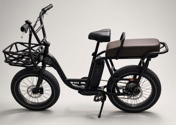 Black RadRunner Plus cargo e-bike by Rad Power Bikes. Ready to ride!
