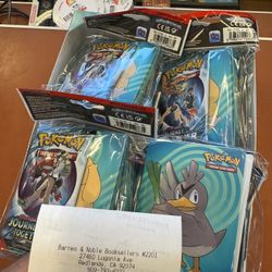 Pokemon Cards Journey Together Mini Portfolio