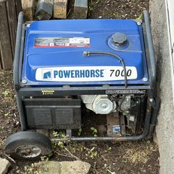 Powerhorse 7000