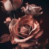 Rosa 🥀 DONT WASTE MY TIME