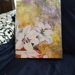 Brand New Painted Canvases 