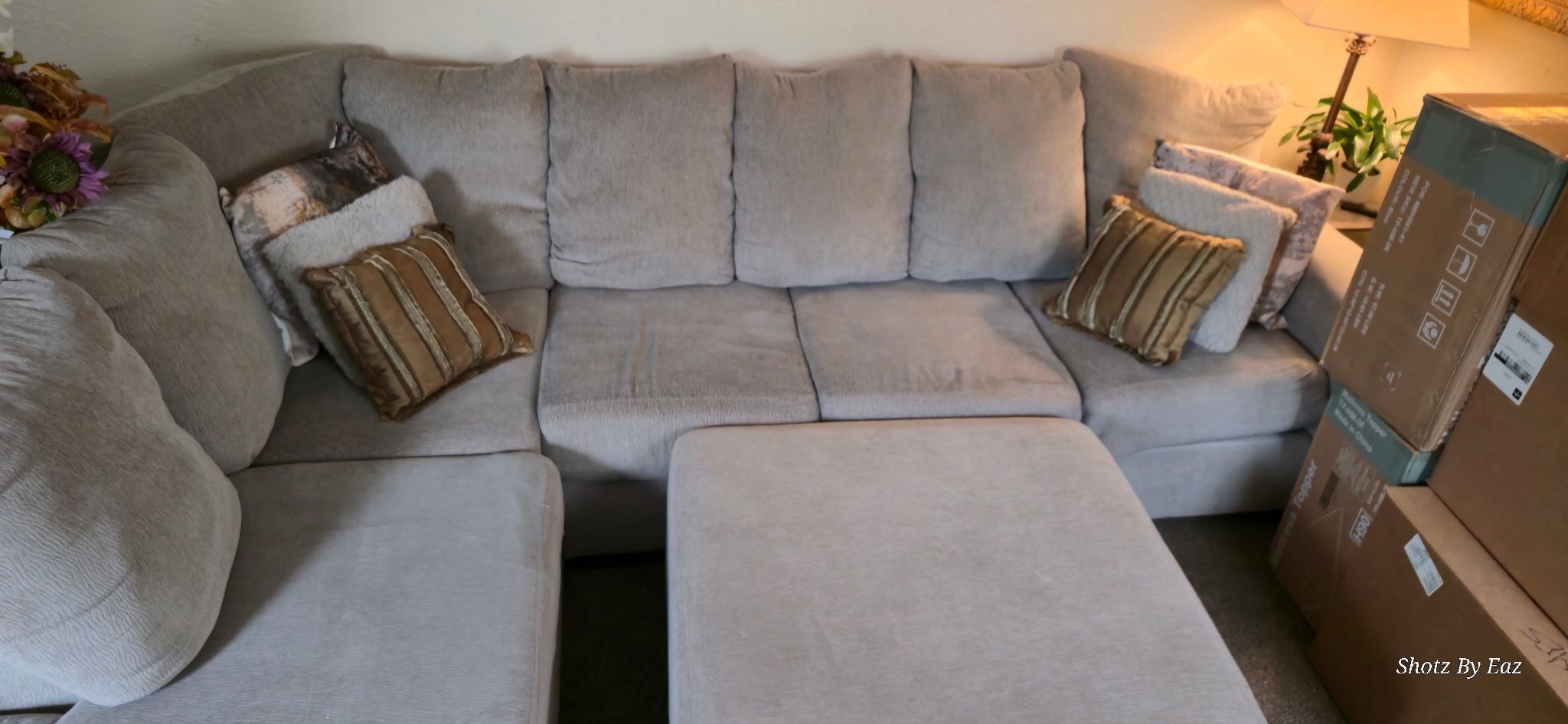 Sectional Couch w/Ottoman