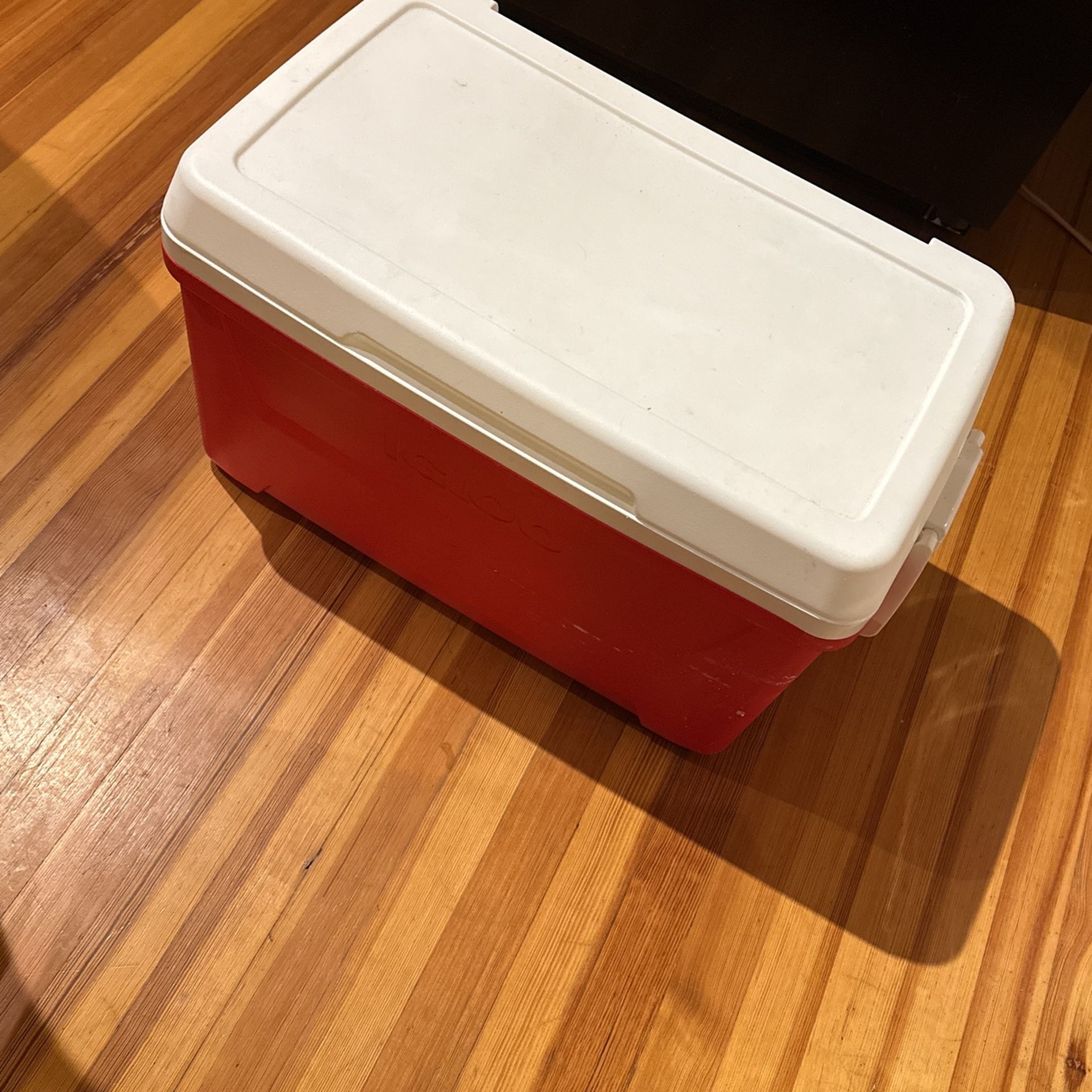 Igloo Cooler