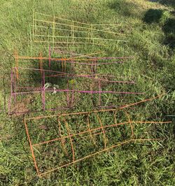 Six Multi-Colored Coated Tomato Cage