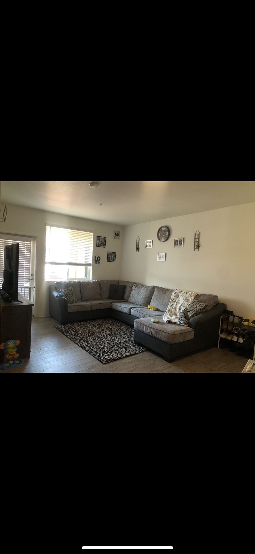 Sectional Couch