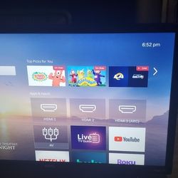 24" Mini Roku Tv