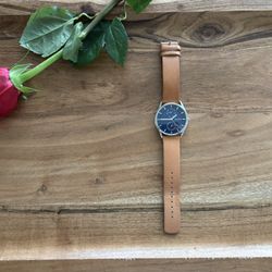 Skagen Watch (Mens) Light Brown Leather, Blue Face