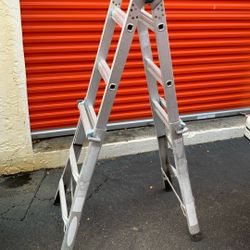 Ladder Werner