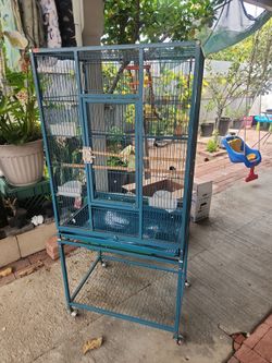 Bird cage