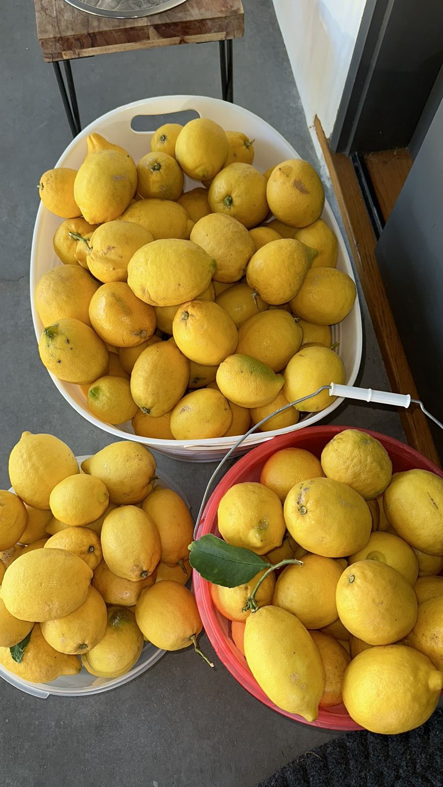 Lemons