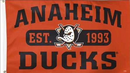 Anaheim Ducks Hockey Flag 5ftx3ft $20 Firm On Price
