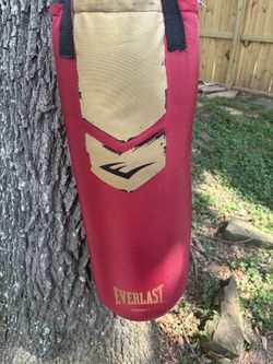Everlast Heavy Bag 100lb