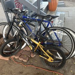 3 Bikes