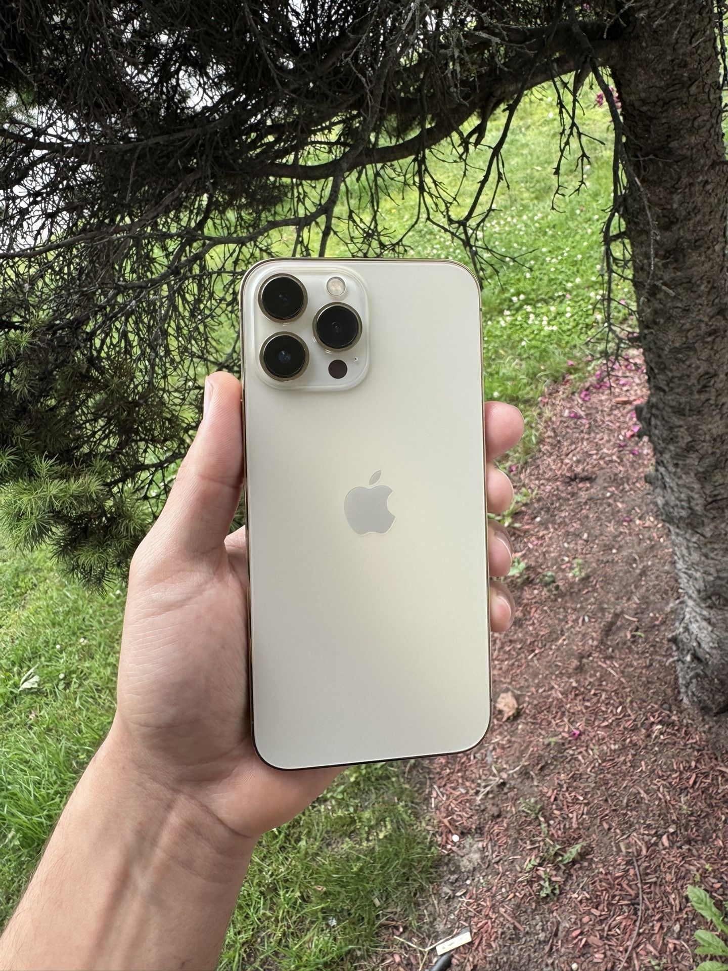 iPhone 13 Pro Max 128gb Unlocked
