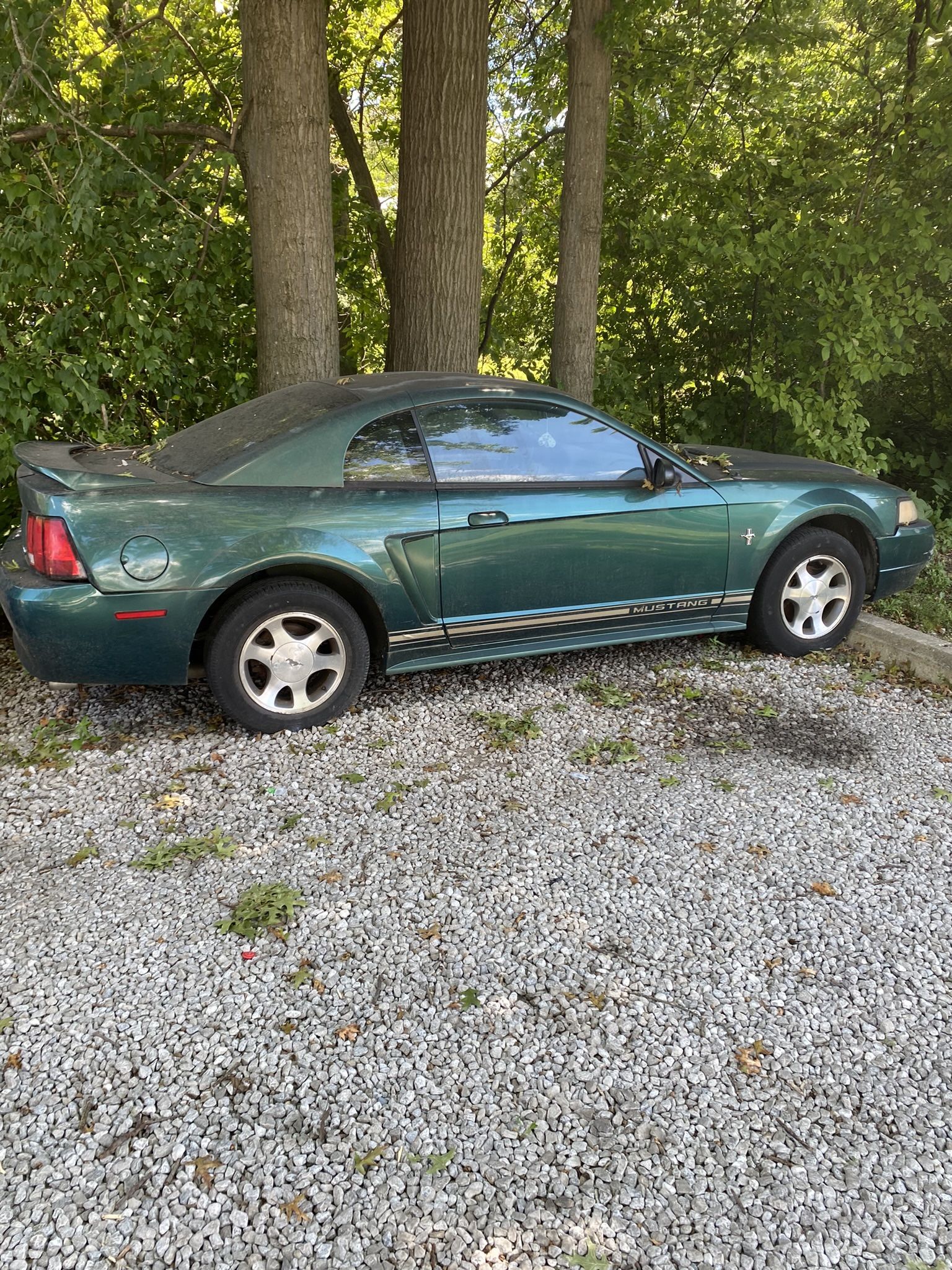 2000 Ford Mustang