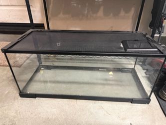 Reptile Tank with Heating Lamp