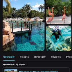Discovery Cove Tickets  $100 !! Tomorrow Only ! 