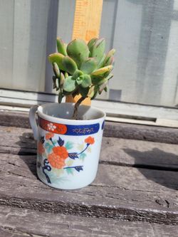 Floral Porcelain Mug with Succulent Plant