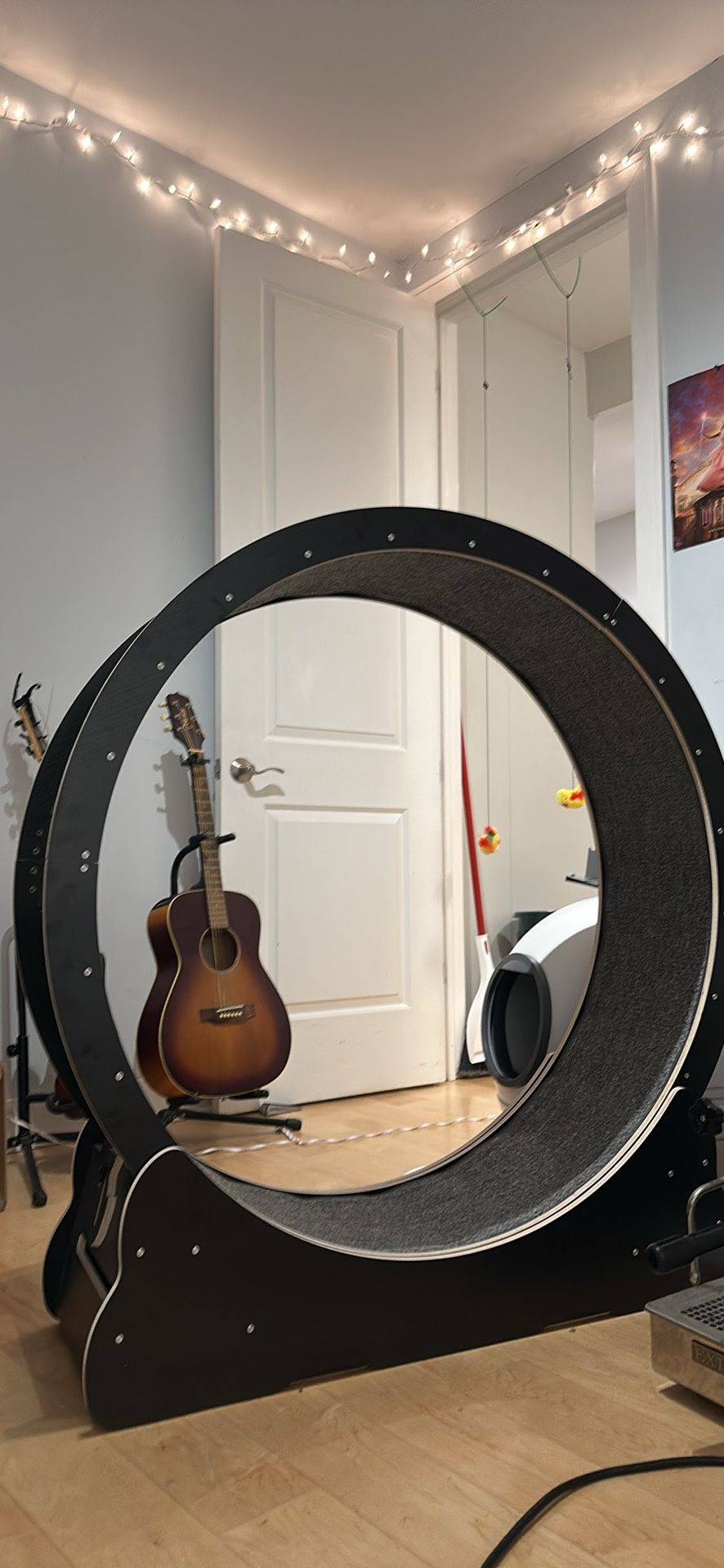 Wood Cat Wheel
