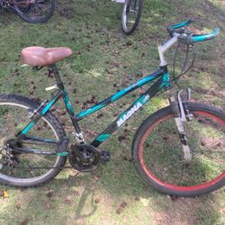 18 Speed Bicycle 
