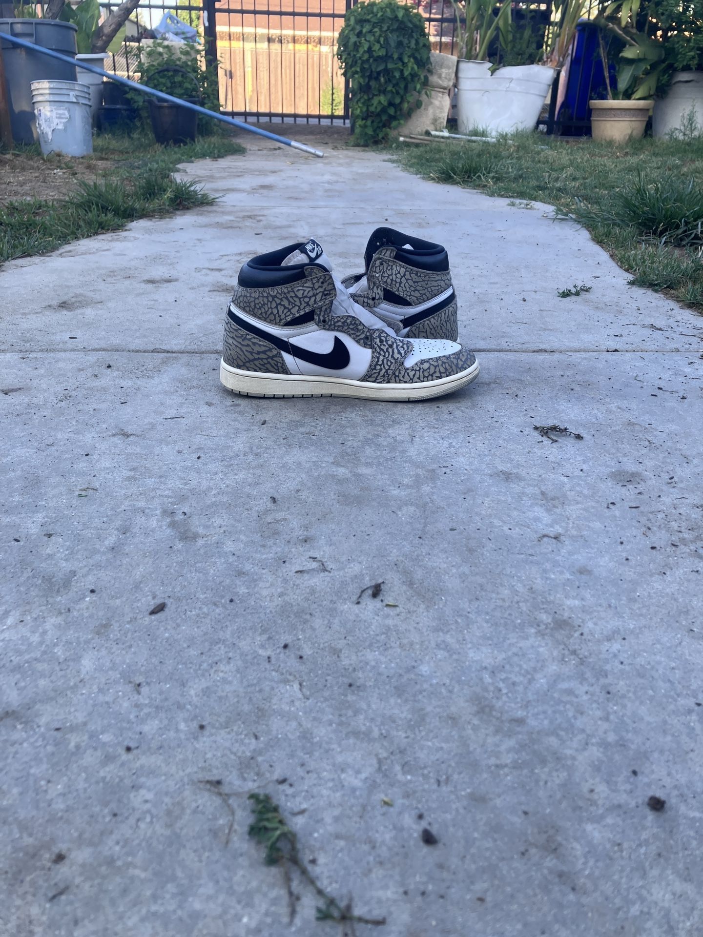 Jordan’s 1 Elephant Print