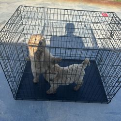 Large Dog Crate