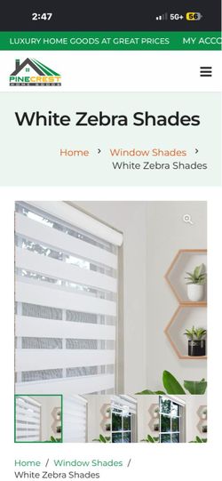 Pinecrest home goods white zebra shade 64in
