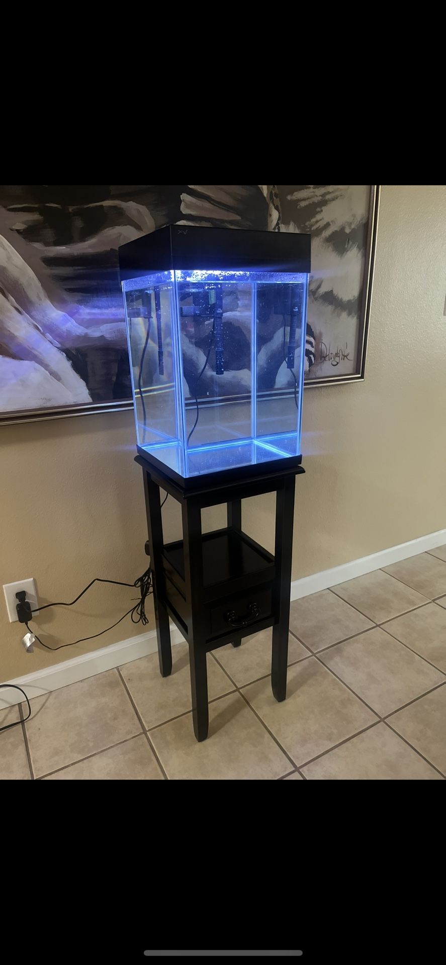 10 Gallon All In One Aquarium