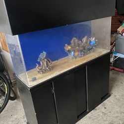 50 Gallon Acrylic Fish Tank Aquarium