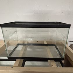 10 Gallon Tank