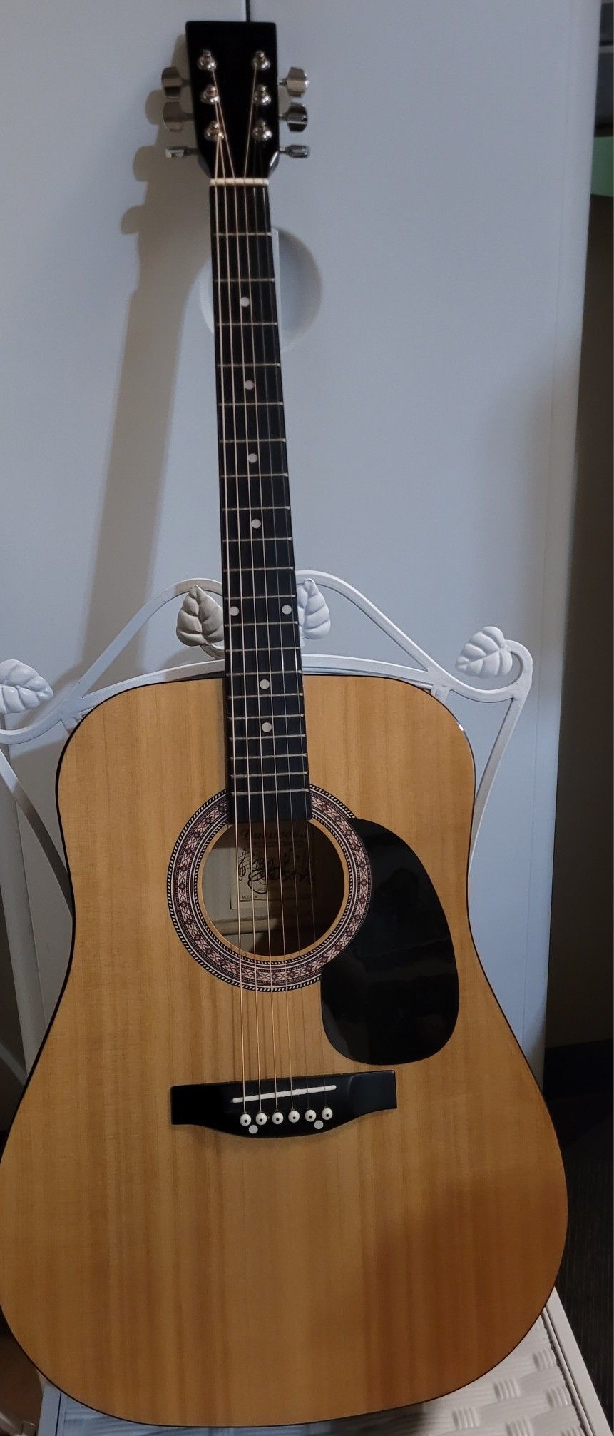 Signed Burseood Guitar with Case