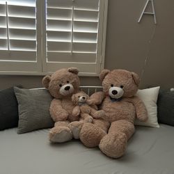 Giant Teddy Bears