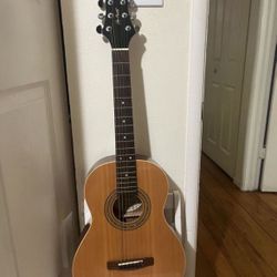 Greg Bennett guitar 