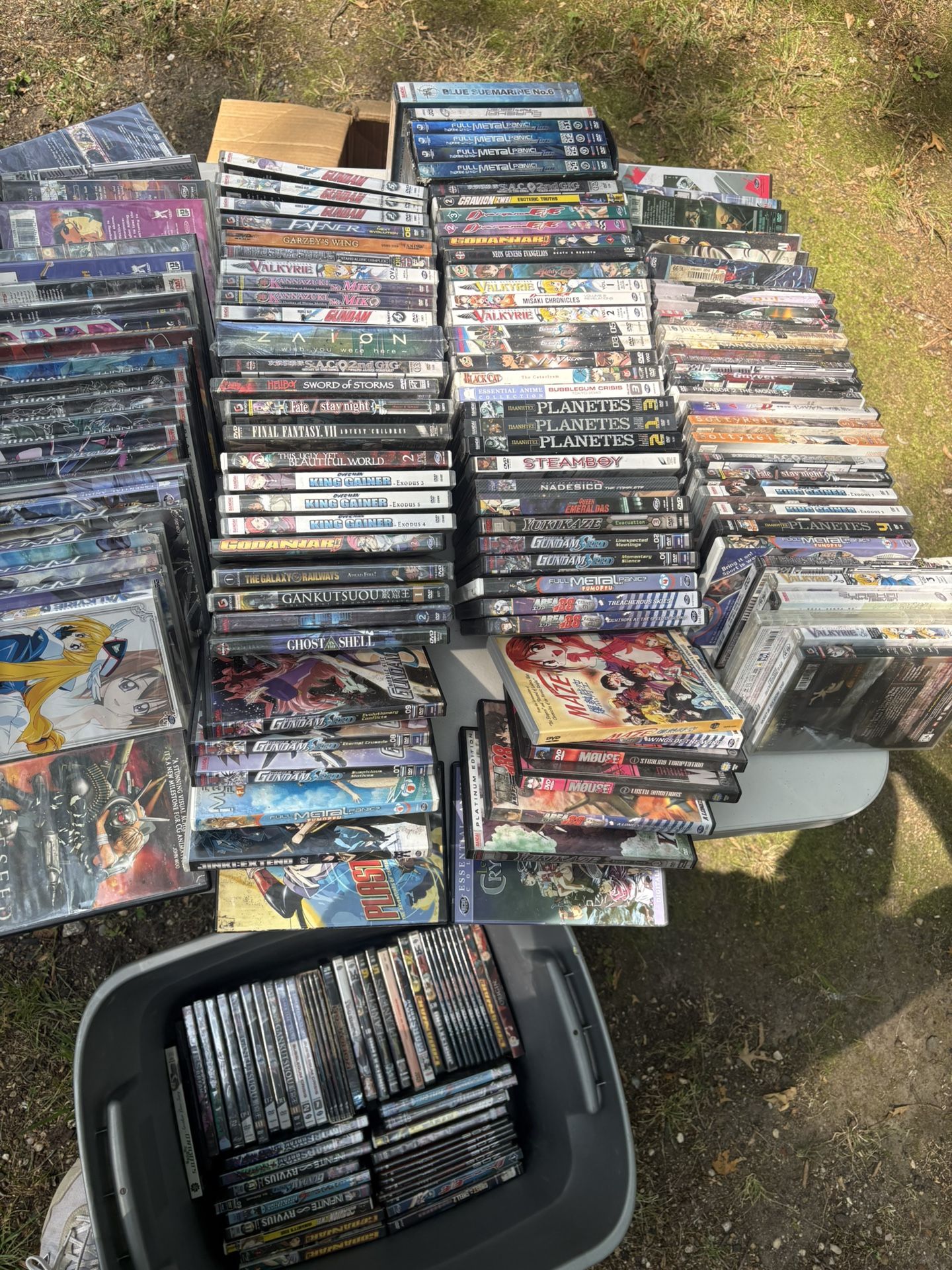 Anime DVDs
