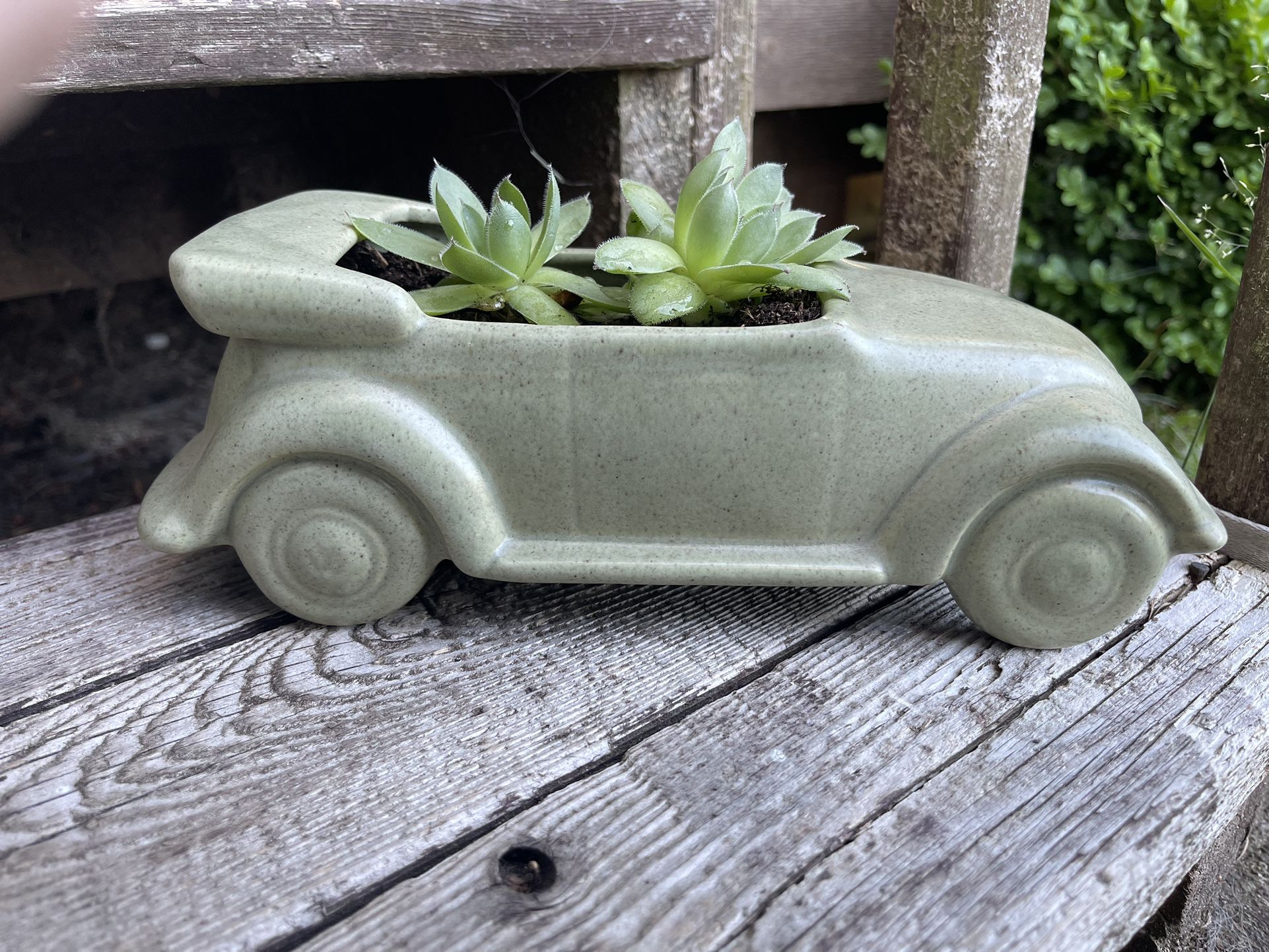 Succulents Hens And Chicks VW Ceramic Pot Vase
