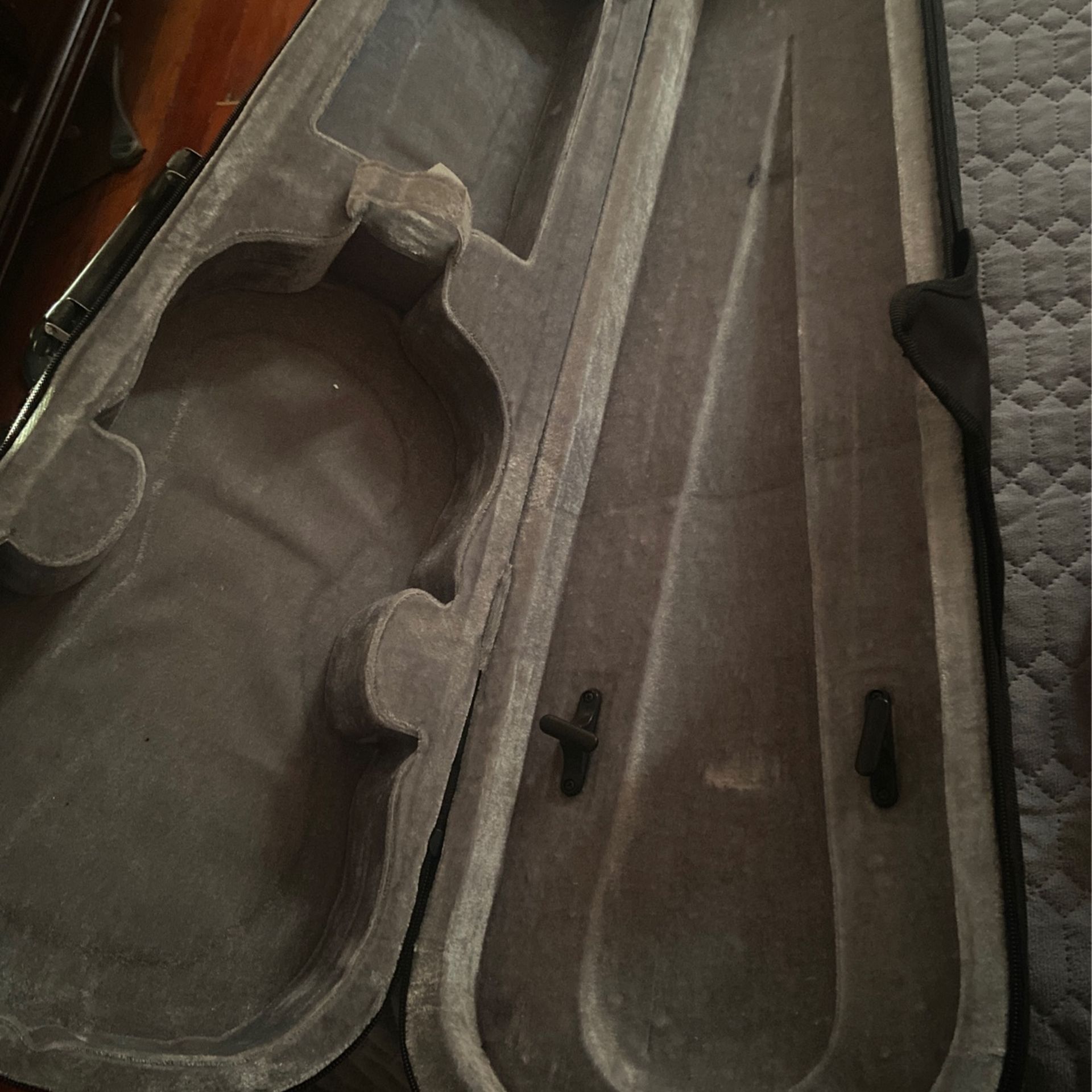 Violin