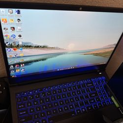 Incredible Gaming Laptop Sager I9-14900HX  $2700 OBO