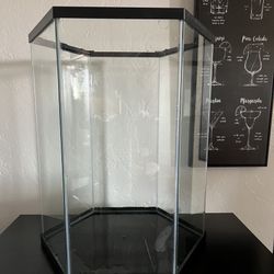 20 Gallon Tank & Decor