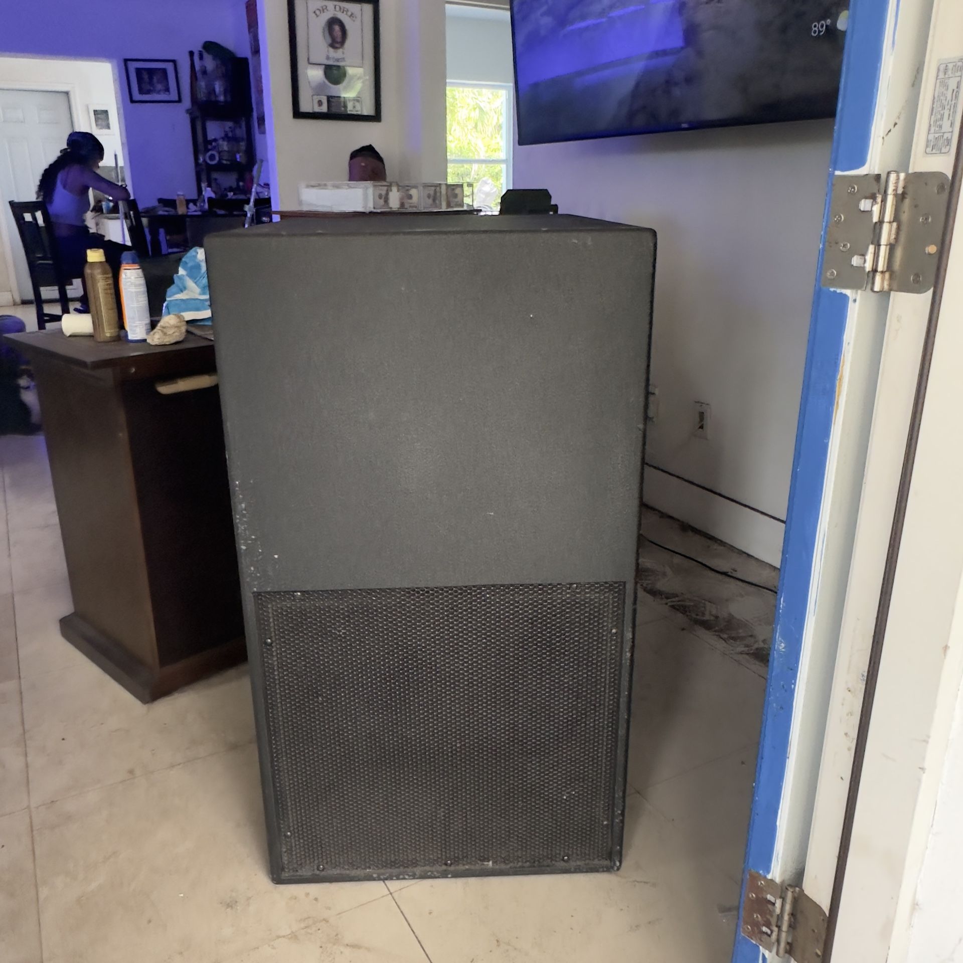 Danley sound labs speaker model th 115 Subwoofer
