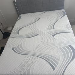 Queen Size Bed Frame With Head  Board