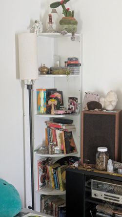 Corner Book Shelf