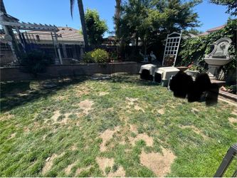 AlI XL dog houses with crates for $150