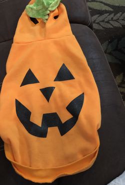 Pumpkin Dog Costume Medium Size 22 Inch Orange
