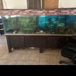Fish tank