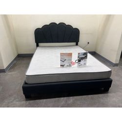 LED Queen Size Bed Frame  // Mattress Sold Separately 