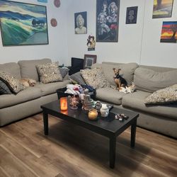Couch And Loveseat